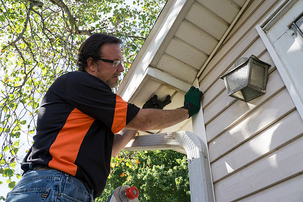 Best Carpet Removal and Disposal  in Marysville, MI